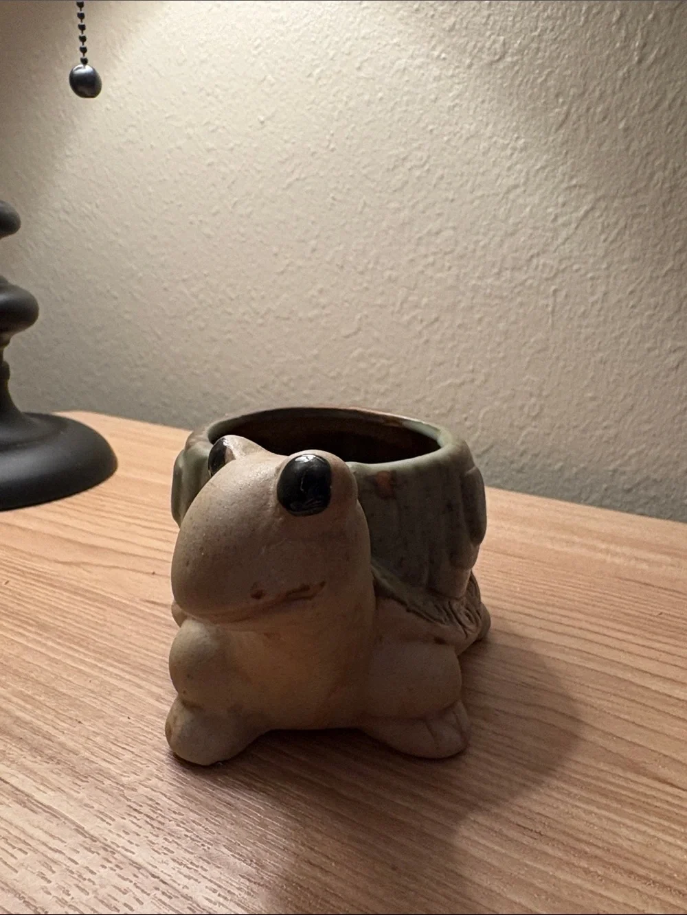 Turtle pot